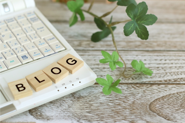 cms,blog